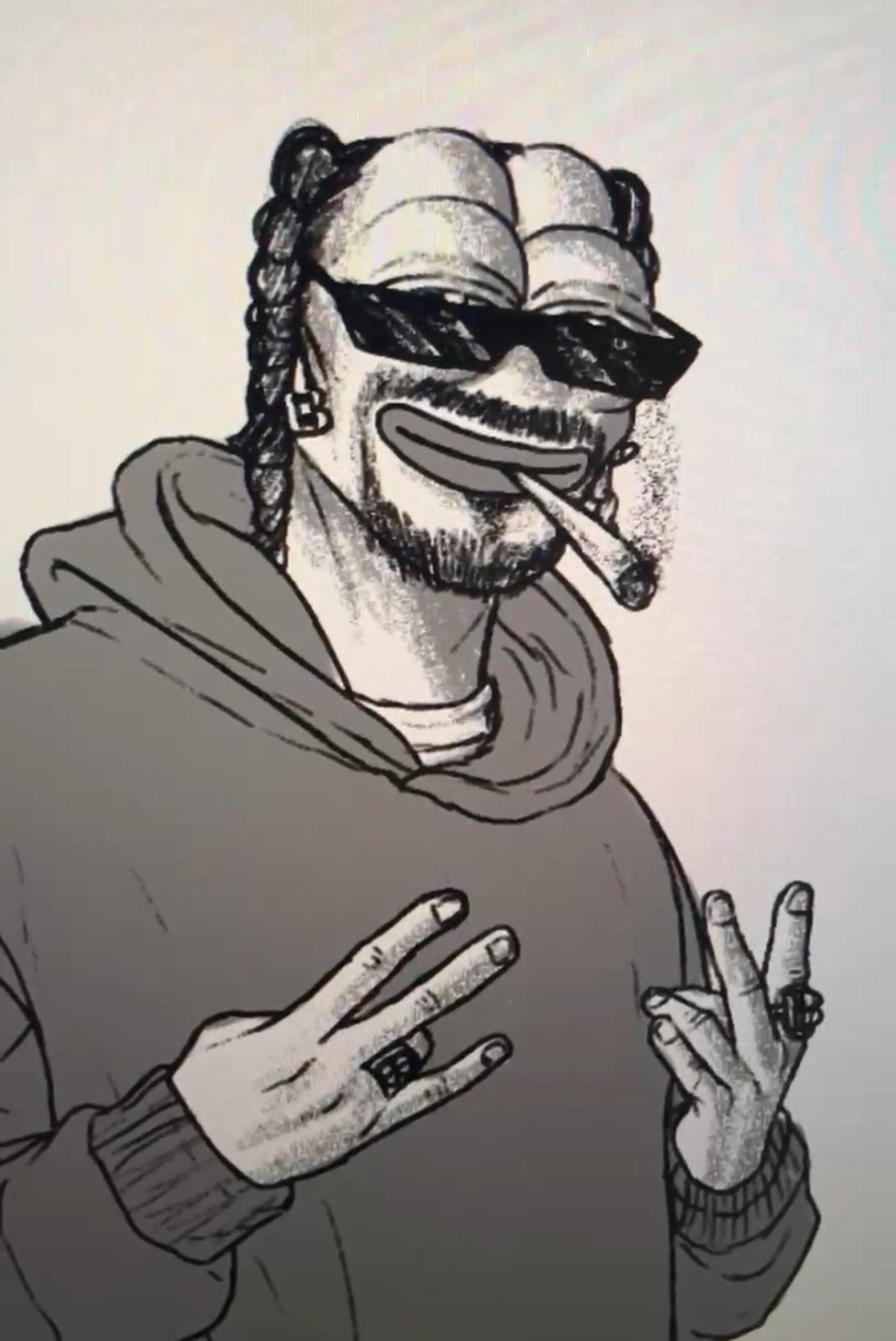 #14 SNOOP FROGG - Artwork